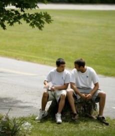 Counseling and Psychotherapy Services for the North Shore and Chicago